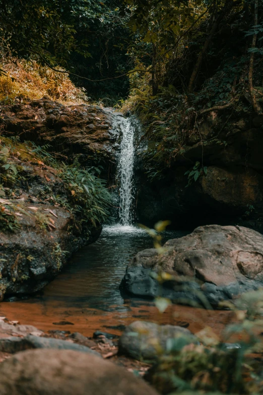 a waterfall is located in the middle of a jungle