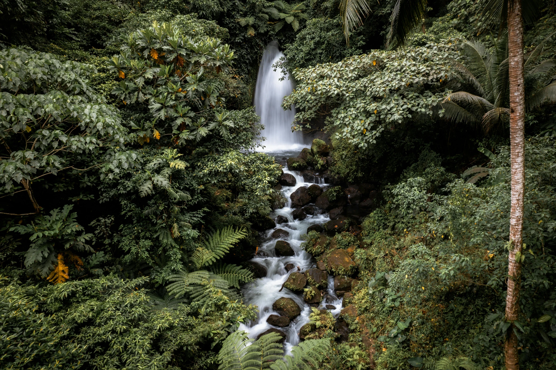 a small waterfall flowing into a stream surrounded by greenery