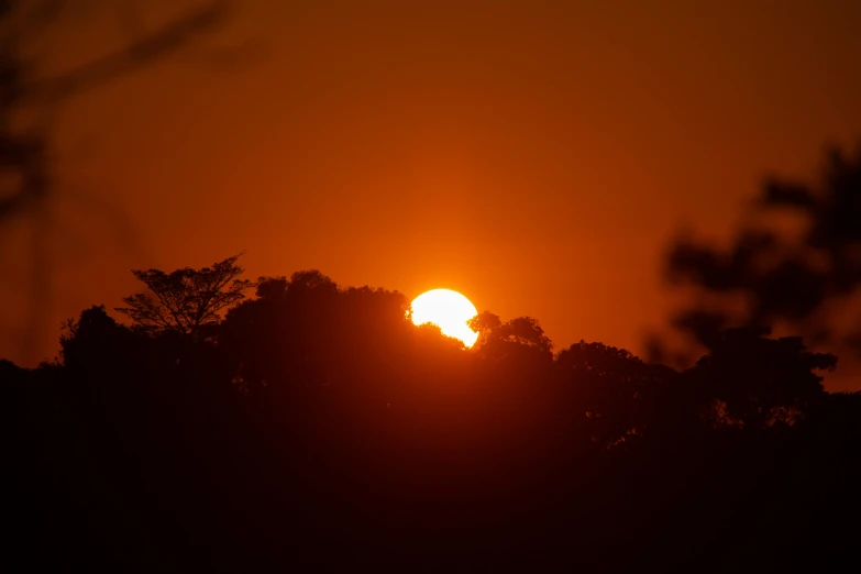 the sun is setting over some trees at sunset