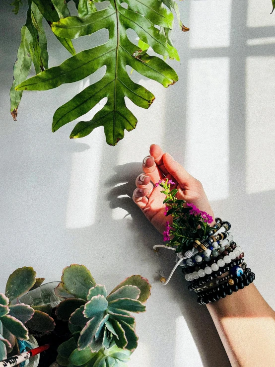 a hand holding beads next to potted plants