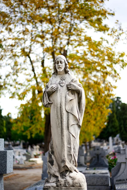 a stone statue in front of a tree on a grave