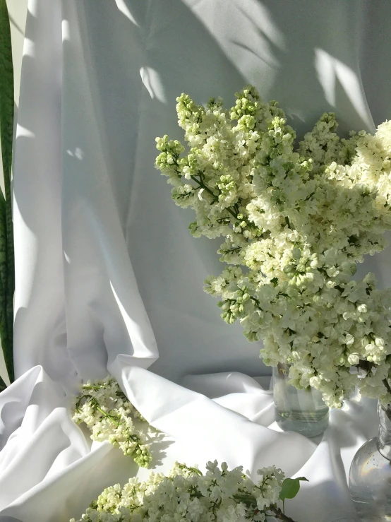 some baby's breath are sitting on a cloth in the sun