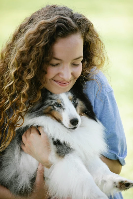 a beautiful young woman holds her white and grey shetland sheepdog