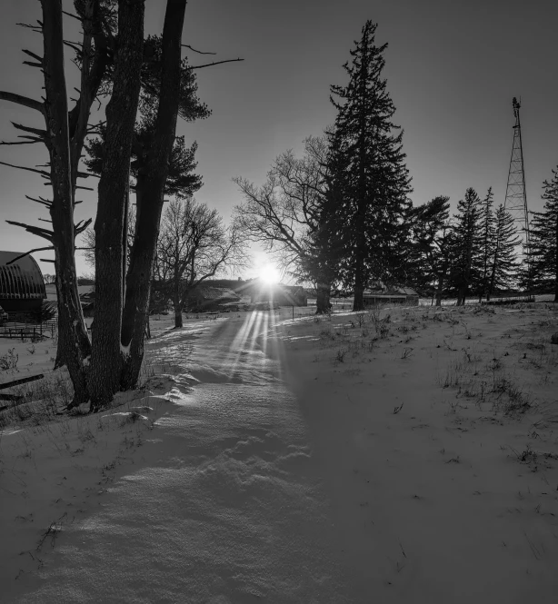 a trail that has some snow in it