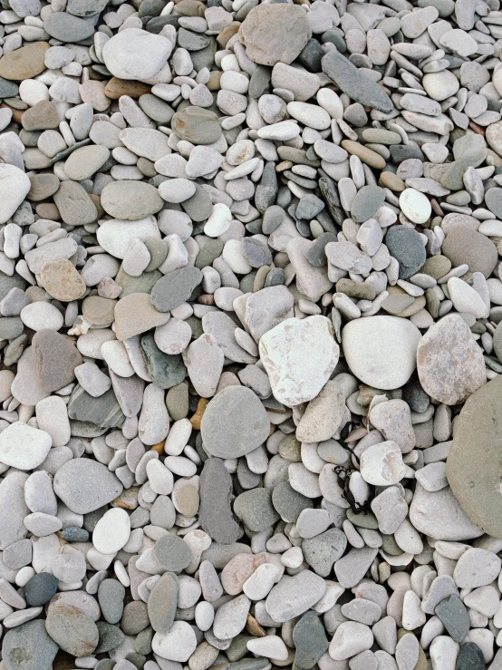 rocks and gravel are arranged neatly in many shapes