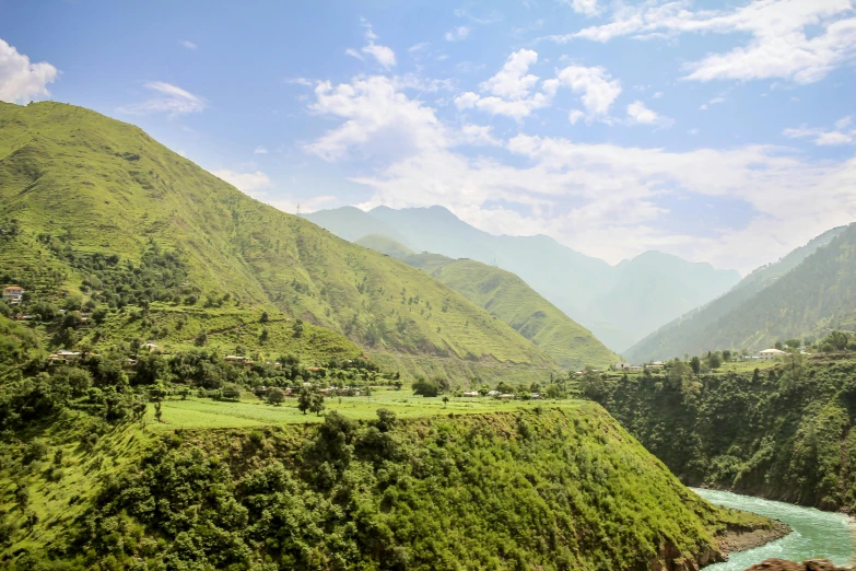 a lush green hillside with mountains in the background