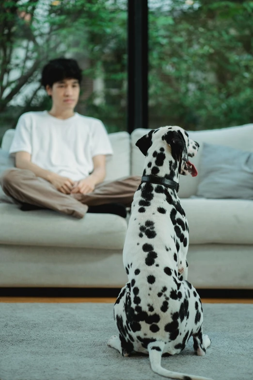 the man sitting down with a dog and watching him