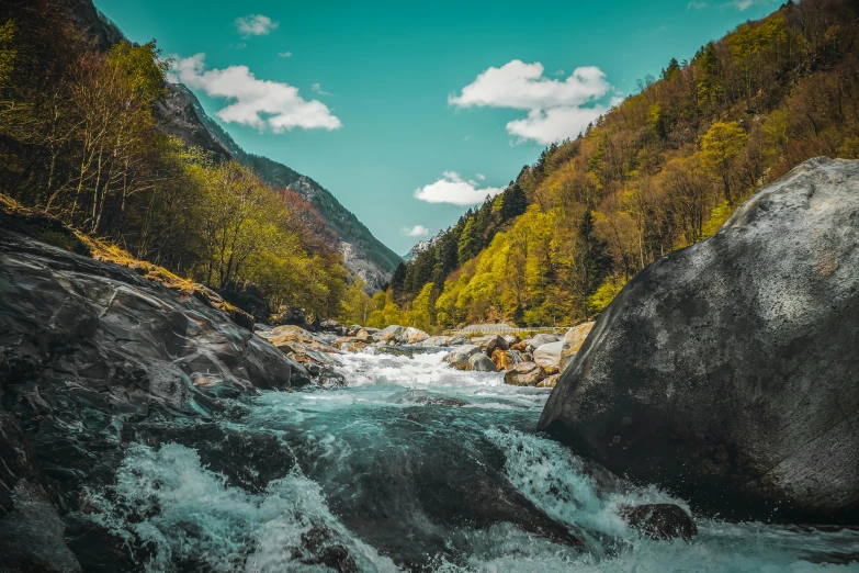 a view of a mountain river, in the middle of a wooded area