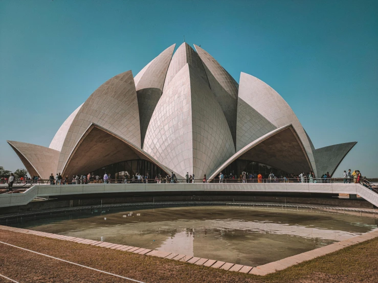 the large lotus is situated on top of a huge square