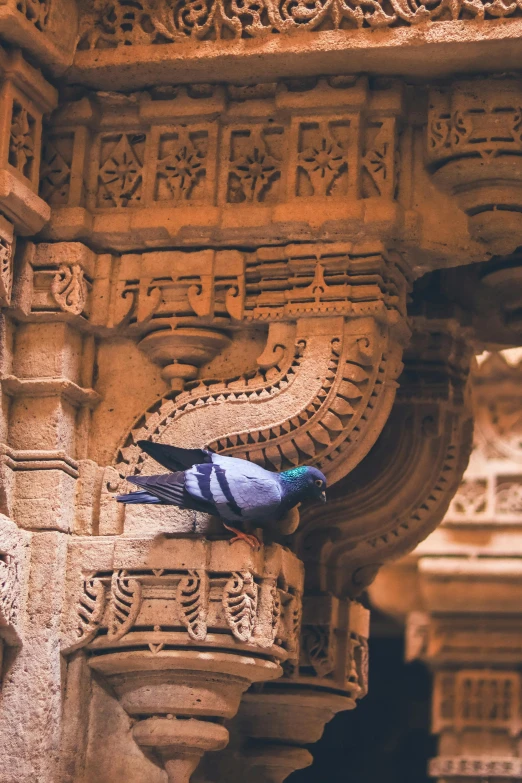 a pigeon perched on the corner of a carved stone structure