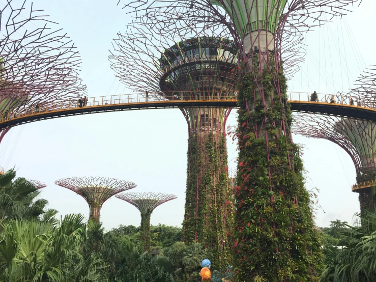 a long stretch of trees surrounding the walkways at gardens by the bay