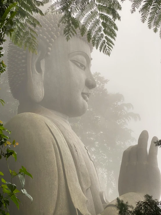 a large statue that is sitting in the middle of the trees