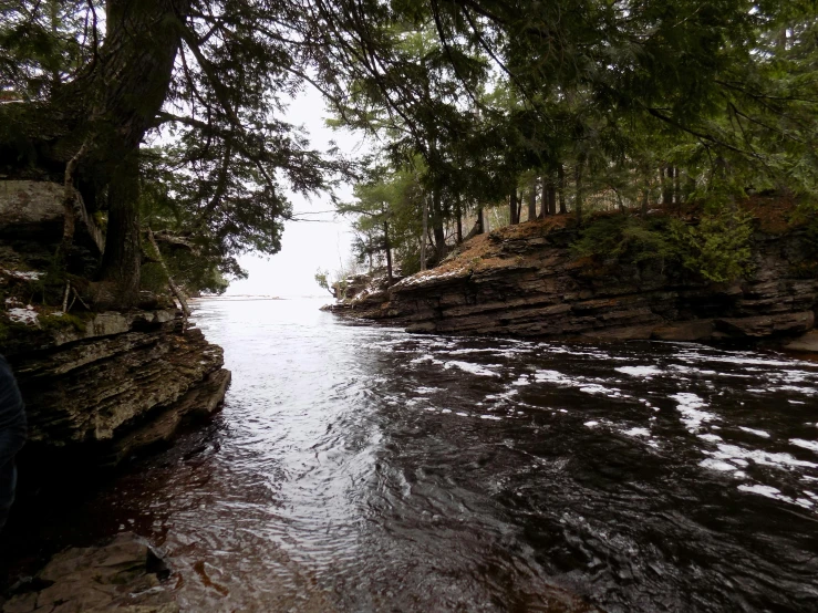 a river runs through an area surrounded by woods