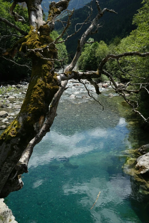 the water is turquoise blue and clear