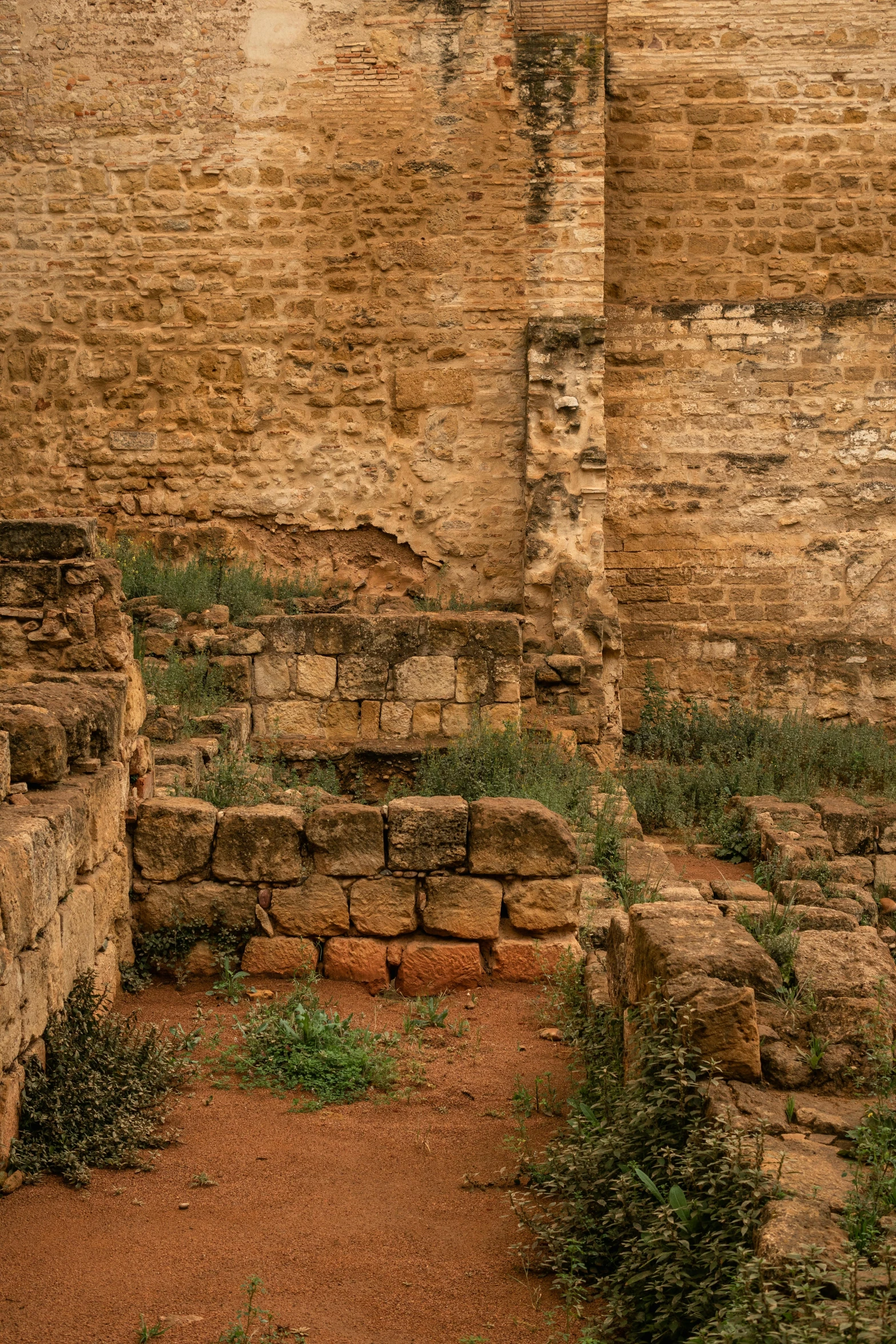 the corner of an old brick building with weeds and plants