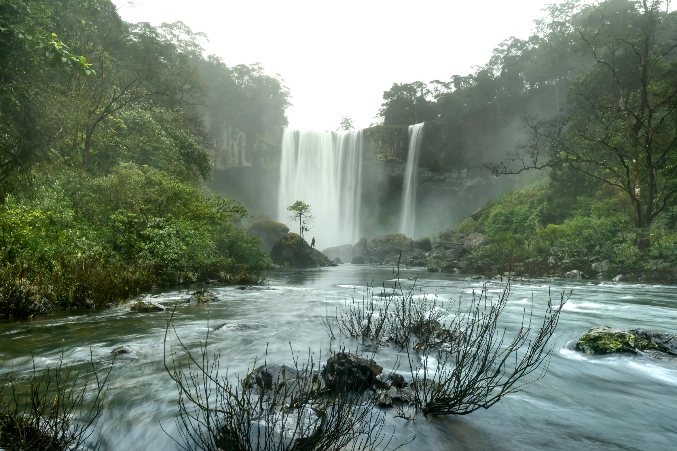 a waterfall near a large tree filled forest