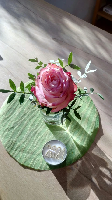 a pink rose on a green table with green place mats