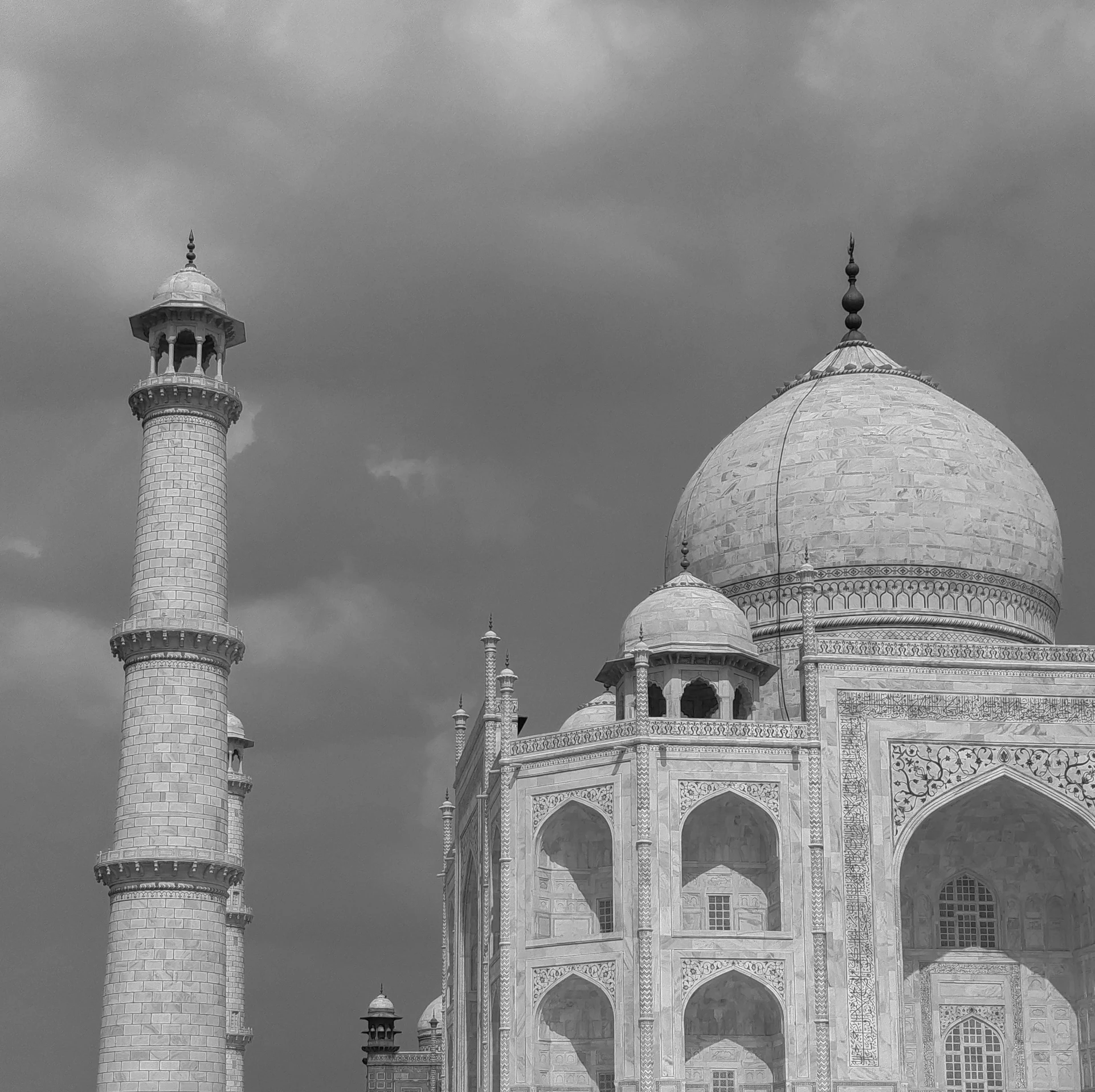 black and white picture of two minalis in front of a dark sky