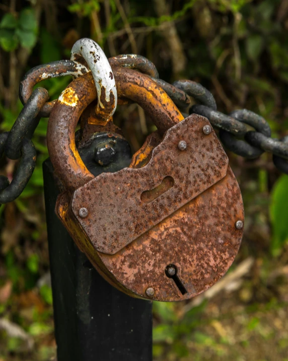 rusty padlocks on the handle of a rusty, black metal gate