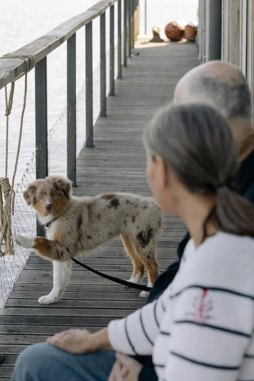 two women sitting on the dock while a dog walks by