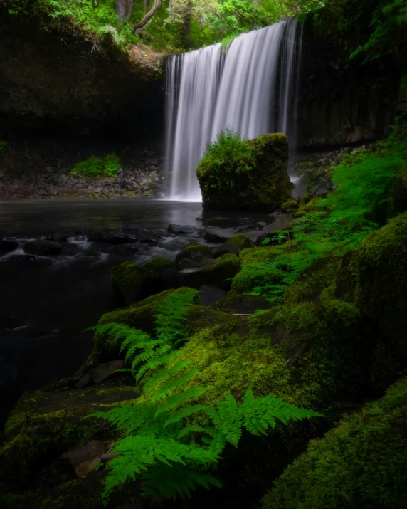 a small waterfall flowing down a lush green hillside