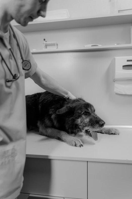 an image of a man giving his dog soing to eat