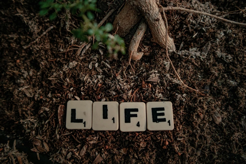 a pair of wooden blocks spelling life on top of dirt
