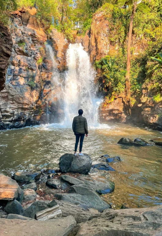 a man looking at a large waterfall with a group of trees in the background