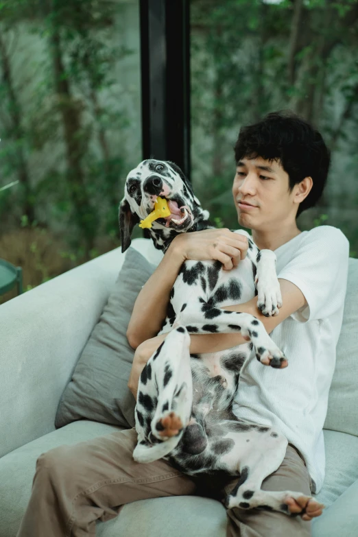 a man holding a dalmatian with one paw on a pillow