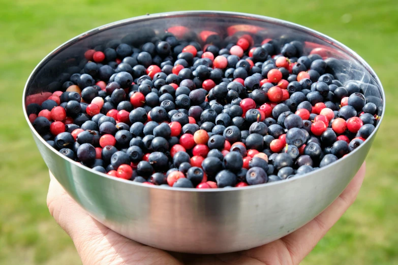 a person holding a silver bowl filled with blueberries and raspberries