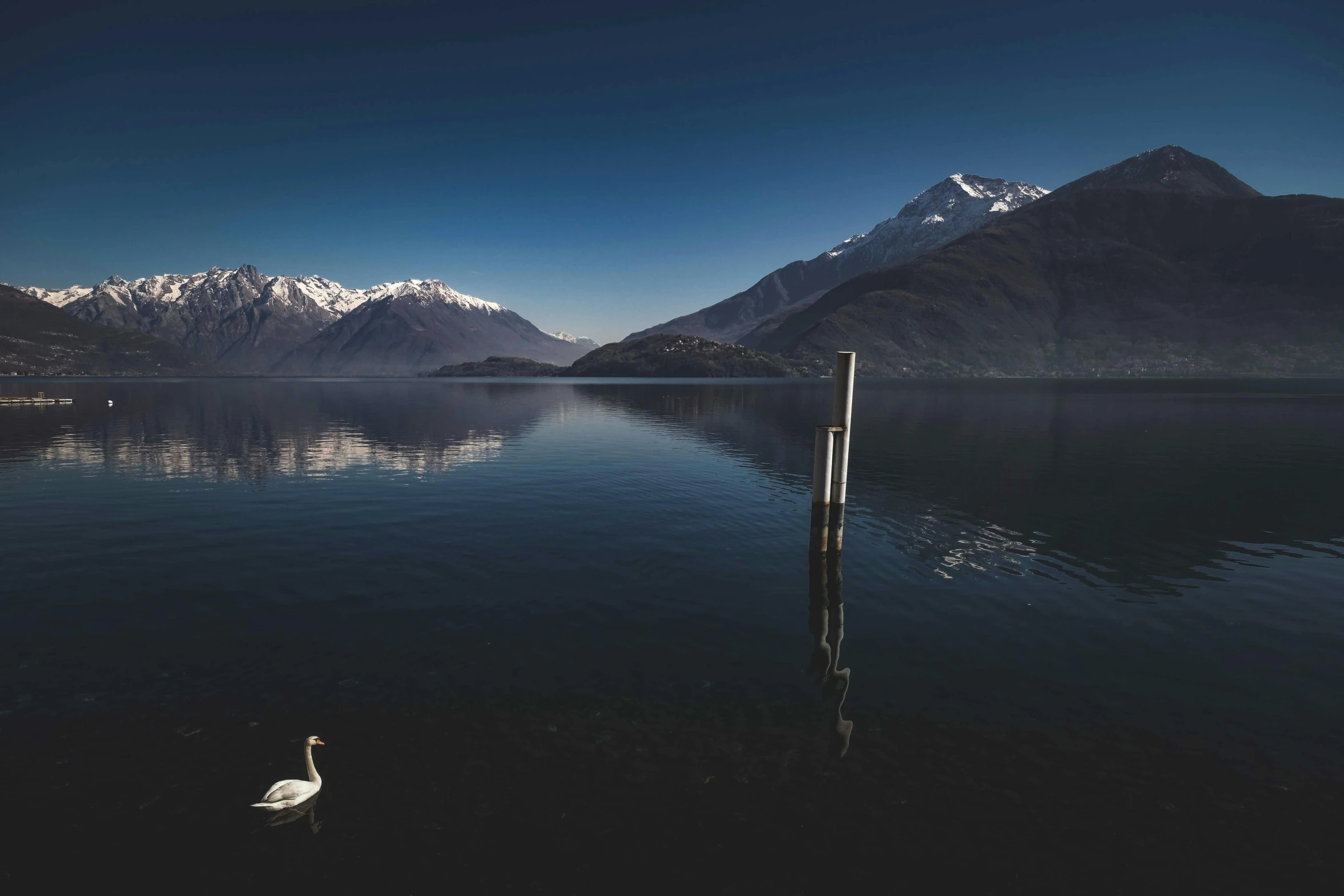 a bird sitting on the dock of a lake