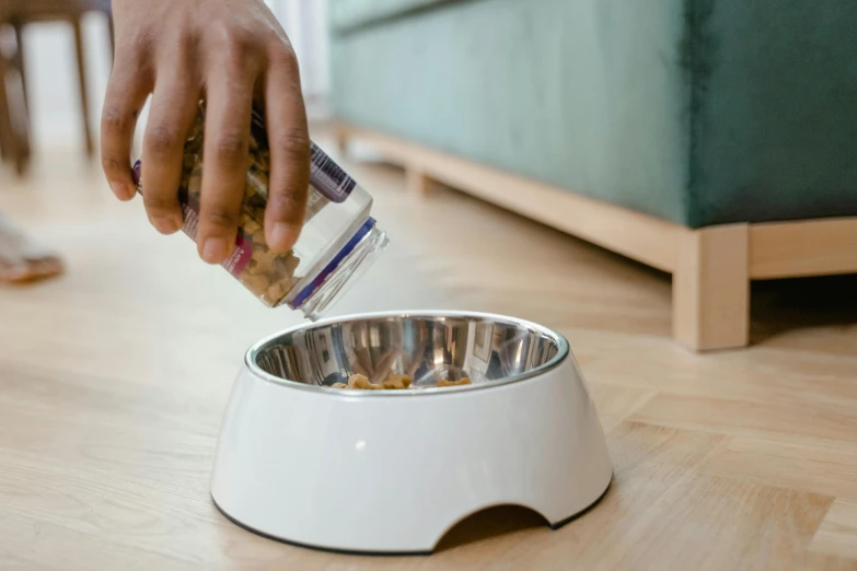 dog is getting food out of his elevated dish