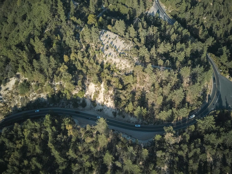 the road in the middle of the forest is winding into different directions