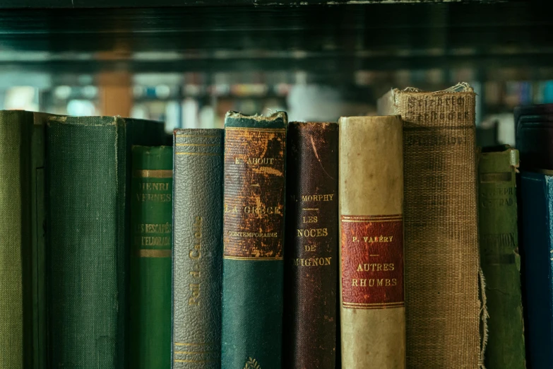 books are on a bookshelf in the liry