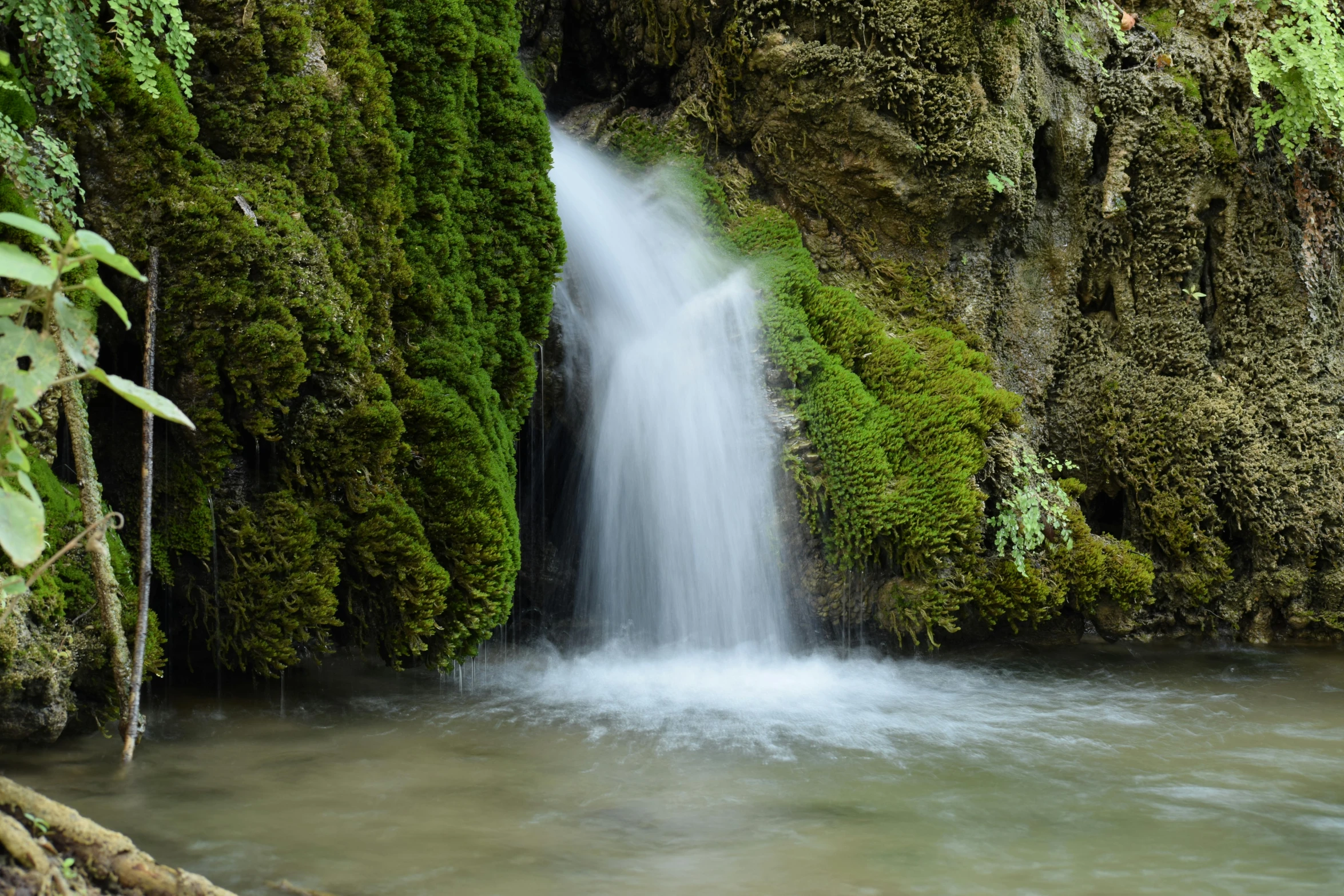 the small waterfall in the forest is covered in moss