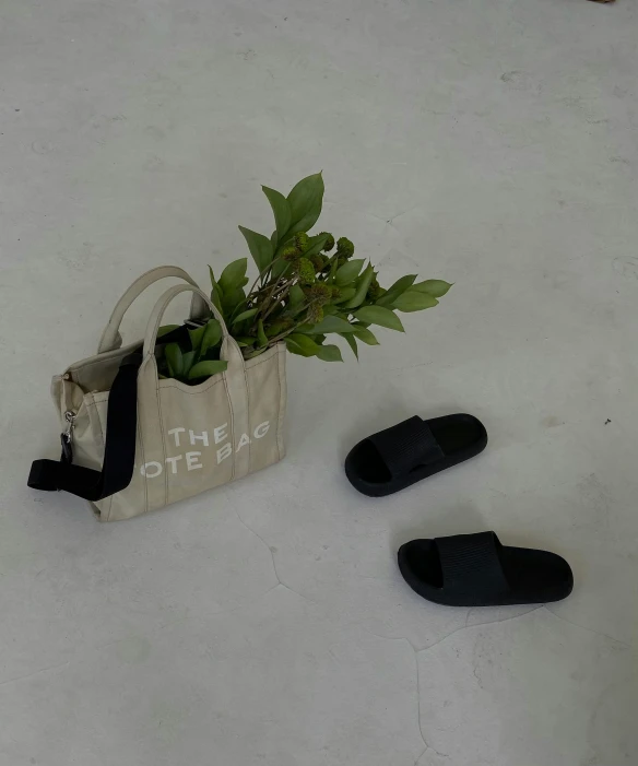 plant pot sitting on top of a white floor next to two pairs of black shoes