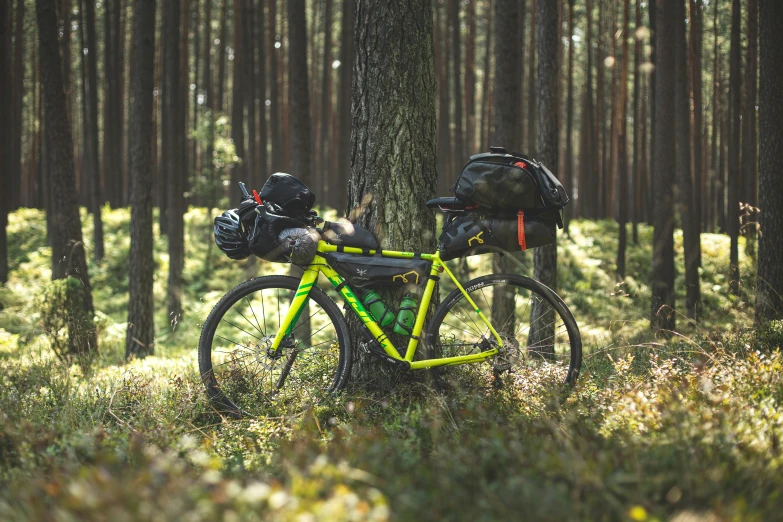 there is a yellow bike that is parked in the woods