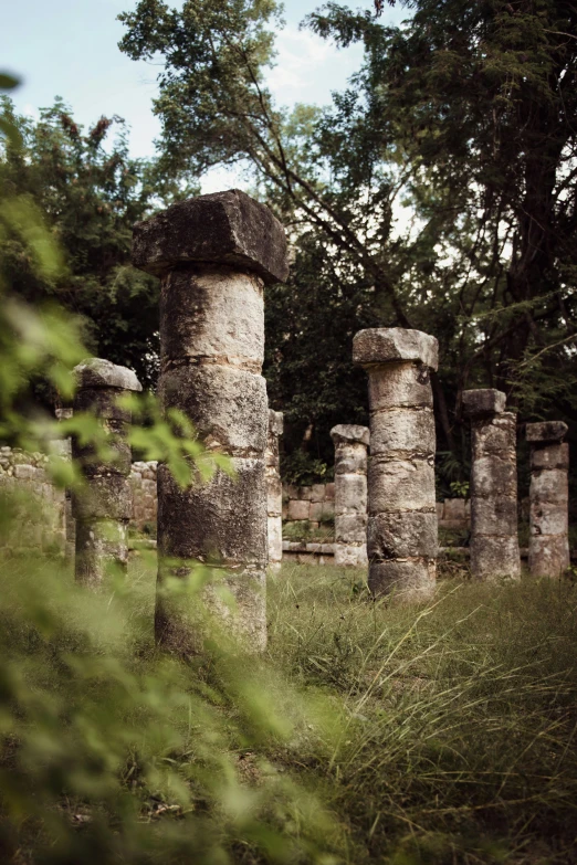 an ancient roman temple sits near some green bushes