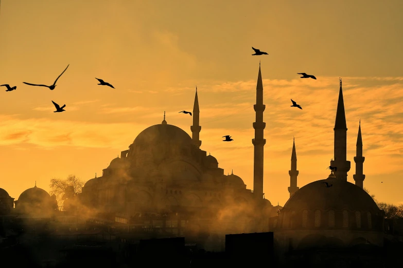 birds are flying above a building in the early morning