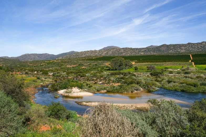 an area with a river and grassy areas