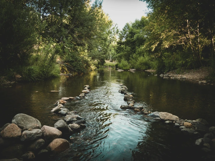 a stream with some rocks in it that is flowing into the river