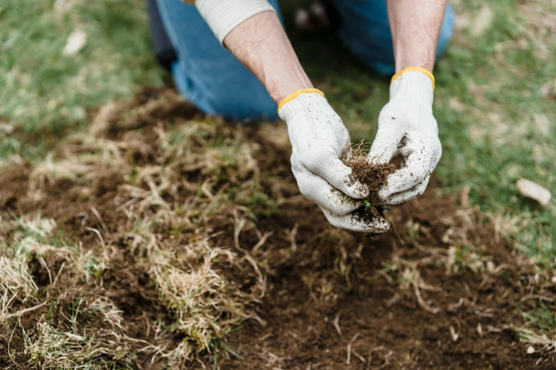 a person in blue jeans and white gloves holding a dirt patch