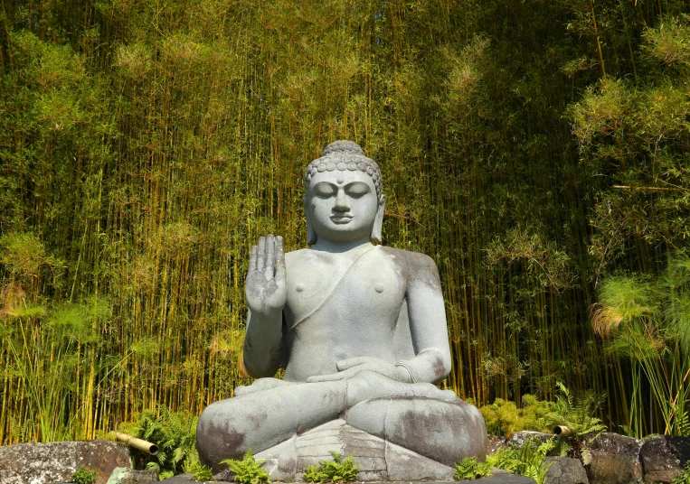 a buddha statue is standing by a bamboo forest