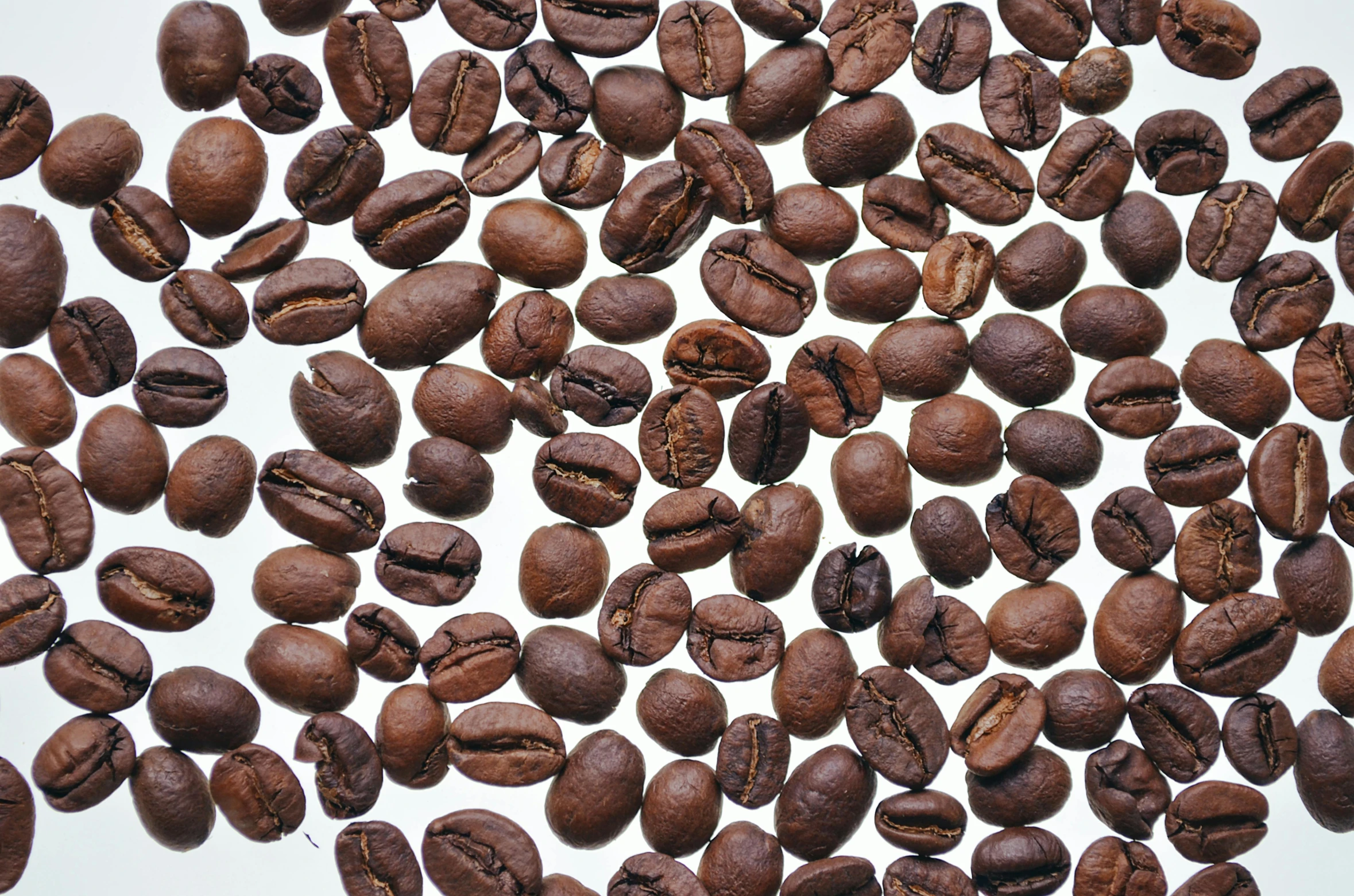 a close up of many coffee beans on a white surface