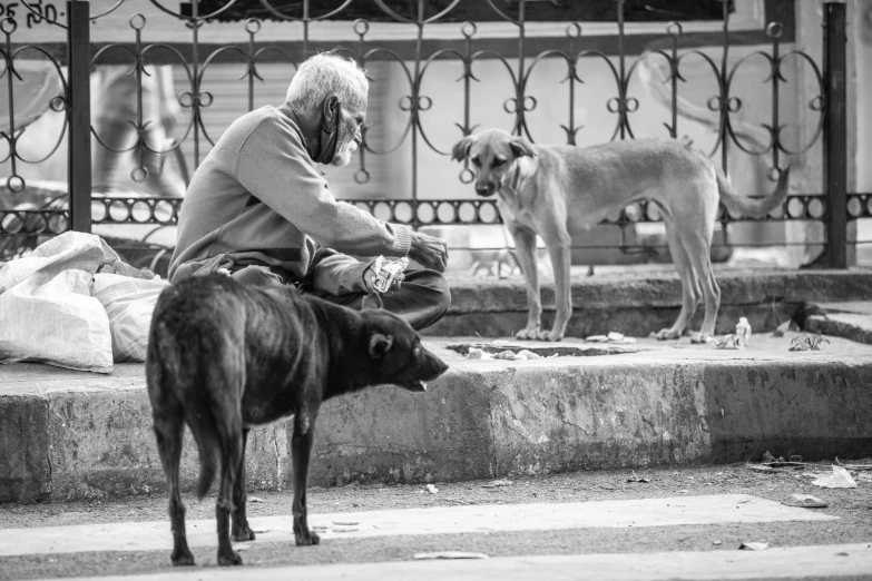 an old man sitting on steps next to a dog and cat