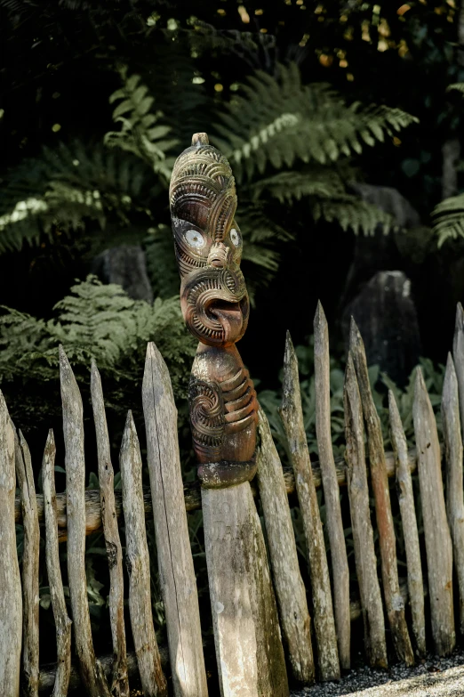 an odd looking head sticking out of the fence