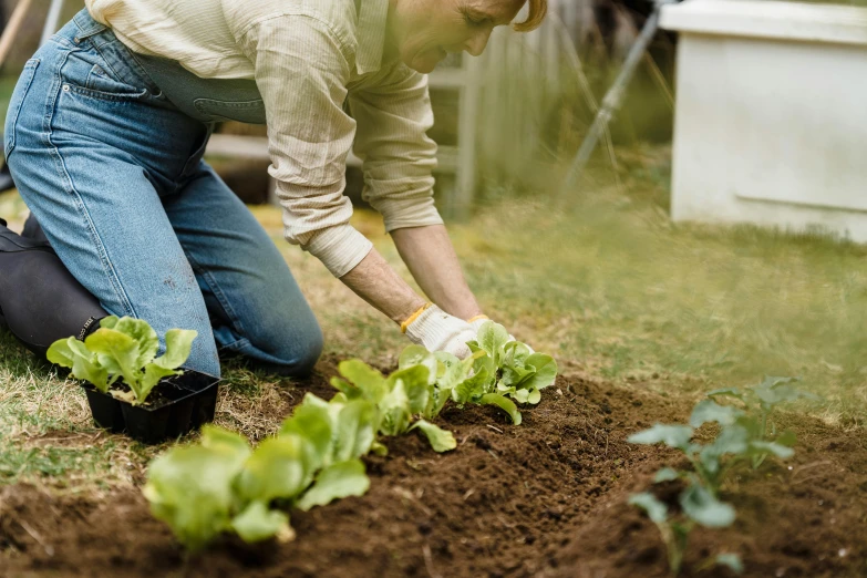 a woman with a glove on is tending to the ground in a garden