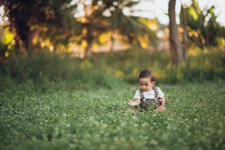 an adorable young toddler sits in the green grass