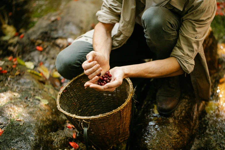 a person kneeling down holding a small basket filled with berries