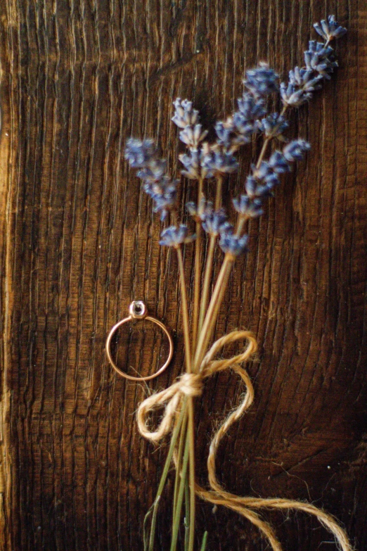 lavender plants with a ring tied around them